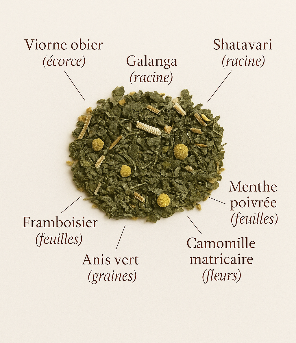 Infusion Flow – Harmonie féminine